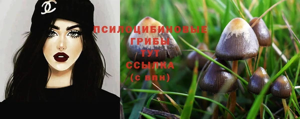 кокс Магас