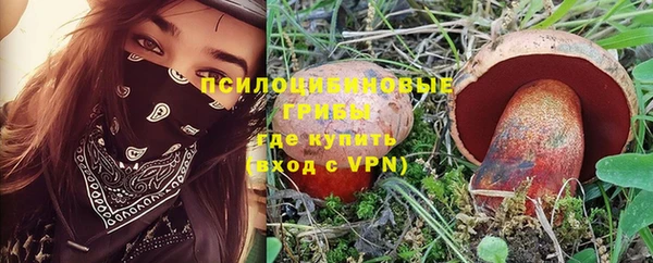 дмт Липки