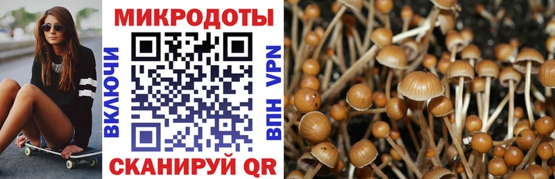 где купить наркотик  Тбилисская  blacksprut   Псилоцибиновые грибы Cubensis 