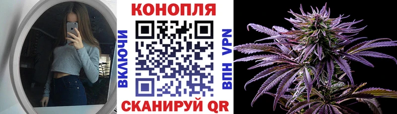 Каннабис семена  omg ссылка  Тбилисская 